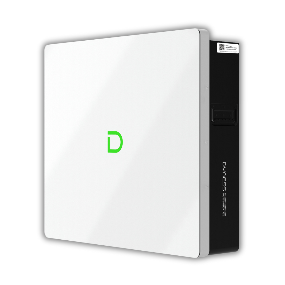 Dyness wall battery